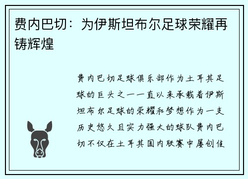 费内巴切：为伊斯坦布尔足球荣耀再铸辉煌